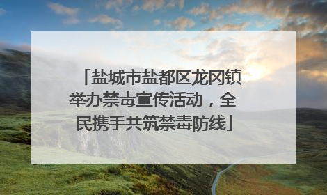 盐城市盐都区龙冈镇举办禁毒宣传活动，全民携手共筑禁毒防线