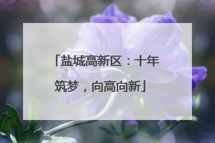 盐城高新区：十年筑梦，向高向新