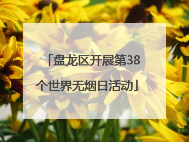 盘龙区开展第38个世界无烟日活动