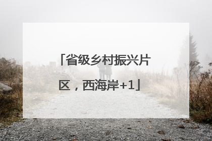 省级乡村振兴片区，西海岸+1