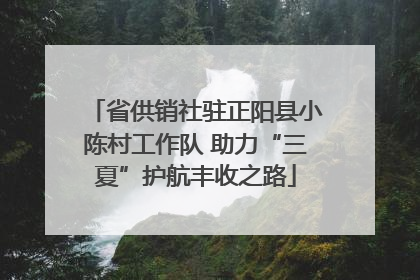 省供销社驻正阳县小陈村工作队 助力“三夏”护航丰收之路