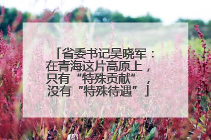 省委书记吴晓军：在青海这片高原上，只有“特殊贡献”，没有“特殊待遇”