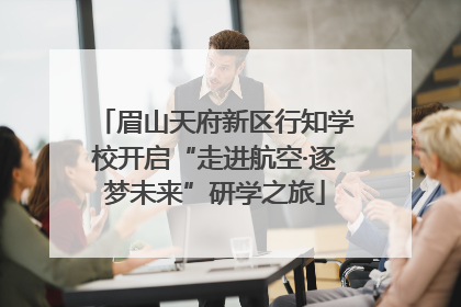 眉山天府新区行知学校开启“走进航空·逐梦未来”研学之旅