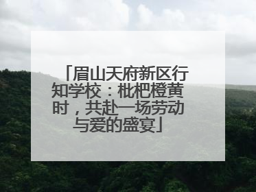眉山天府新区行知学校：枇杷橙黄时，共赴一场劳动与爱的盛宴