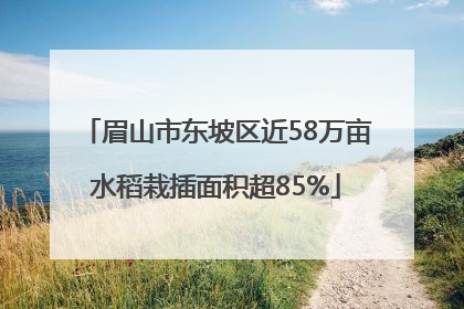 眉山市东坡区近58万亩水稻栽插面积超85%