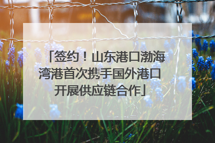 签约！山东港口渤海湾港首次携手国外港口开展供应链合作