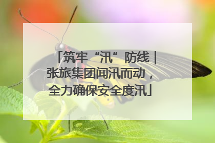 筑牢“汛”防线｜张旅集团闻汛而动，全力确保安全度汛