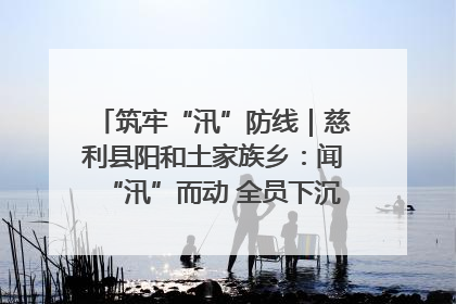 筑牢“汛”防线｜慈利县阳和土家族乡：闻“汛”而动 全员下沉筑牢防汛“安全堤”