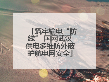 筑牢输电“防线” 国网武汉供电多维防外破护航电网安全