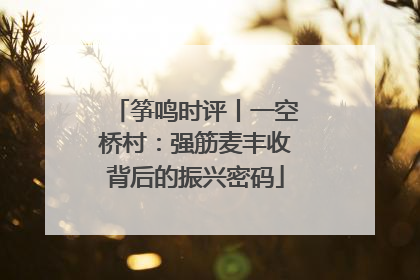 筝鸣时评丨一空桥村：强筋麦丰收背后的振兴密码