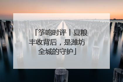 筝鸣时评丨夏粮丰收背后，是潍坊全城的守护