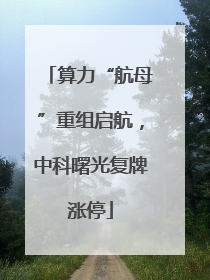算力“航母”重组启航，中科曙光复牌涨停
