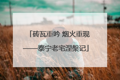 砖瓦重吟 烟火重现——泰宁老宅涅槃记
