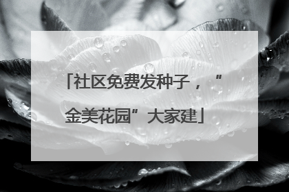 社区免费发种子，“金美花园”大家建