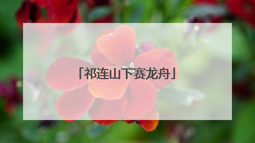 祁连山下赛龙舟