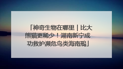 神奇生物在哪里｜比大熊猫更稀少！湖南新宁成功救护濒危鸟类海南鳽
