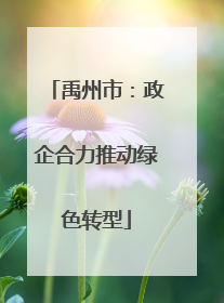 禹州市：政企合力推动绿色转型