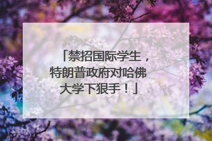 禁招国际学生，特朗普政府对哈佛大学下狠手！