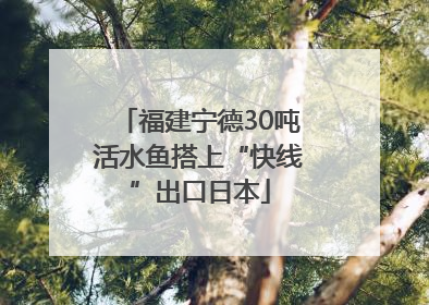 福建宁德30吨活水鱼搭上“快线”出口日本