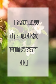 福建武夷山：职业教育服务茶产业