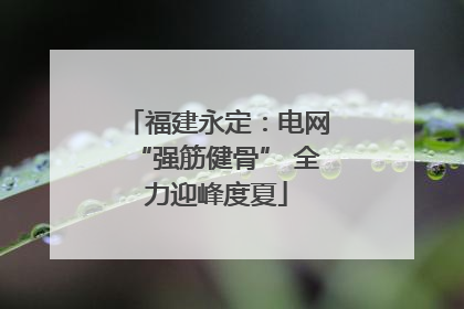 福建永定：电网“强筋健骨” 全力迎峰度夏
