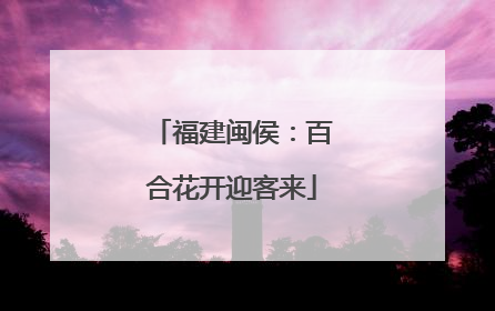 福建闽侯：百合花开迎客来
