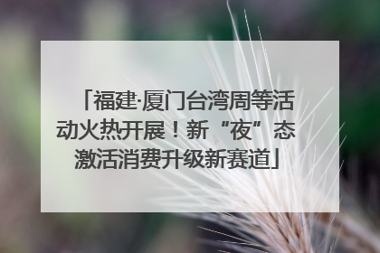 福建·厦门台湾周等活动火热开展！新“夜”态激活消费升级新赛道