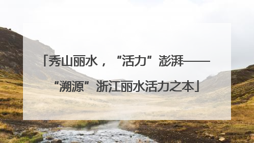 秀山丽水，“活力”澎湃——“溯源”浙江丽水活力之本