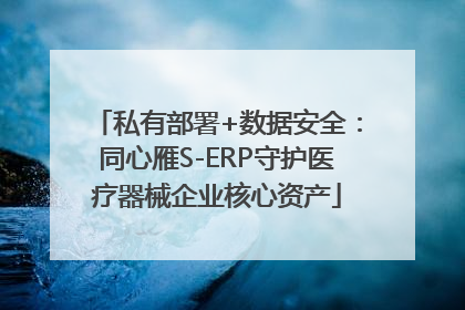 私有部署+数据安全：同心雁S-ERP守护医疗器械企业核心资产