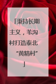 秉持长期主义，苇沟村打造泰北“黄精村”