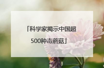 科学家揭示中国超500种毒蘑菇
