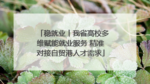 稳就业丨我省高校多维赋能就业服务 精准对接自贸港人才需求