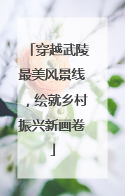 穿越武陵最美风景线，绘就乡村振兴新画卷