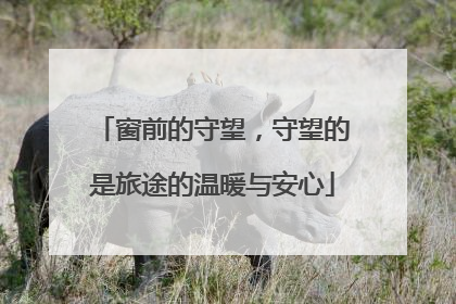 窗前的守望，守望的是旅途的温暖与安心
