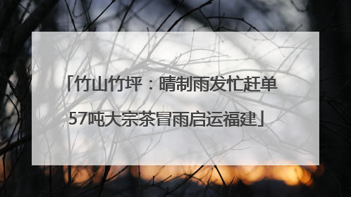 竹山竹坪：晴制雨发忙赶单 57吨大宗茶冒雨启运福建