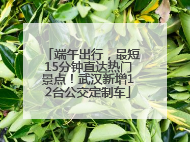 端午出行，最短15分钟直达热门景点！武汉新增12台公交定制车