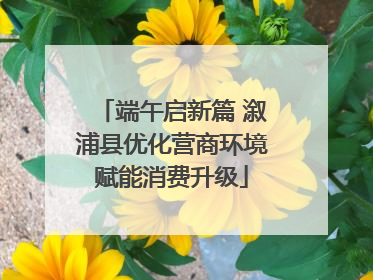 端午启新篇 溆浦县优化营商环境赋能消费升级
