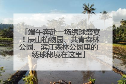 端午奔赴一场绣球盛宴！辰山植物园、共青森林公园、滨江森林公园里的绣球秘境在这里