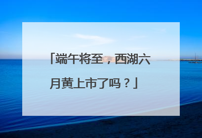 端午将至，西湖六月黄上市了吗？