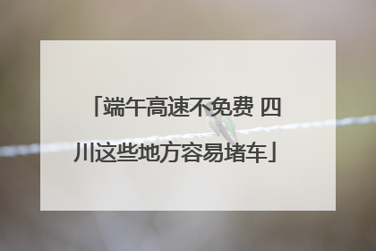 端午高速不免费 四川这些地方容易堵车