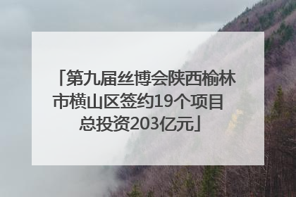 第九届丝博会陕西榆林市横山区签约19个项目 总投资203亿元