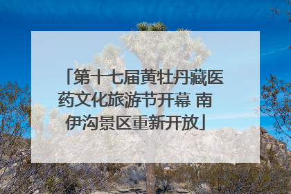 第十七届黄牡丹藏医药文化旅游节开幕 南伊沟景区重新开放