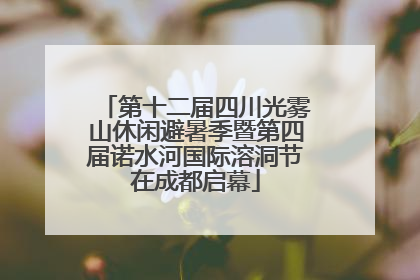 第十二届四川光雾山休闲避暑季暨第四届诺水河国际溶洞节在成都启幕