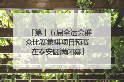 第十五届全运会群众比赛象棋项目预赛在泰安圆满闭幕