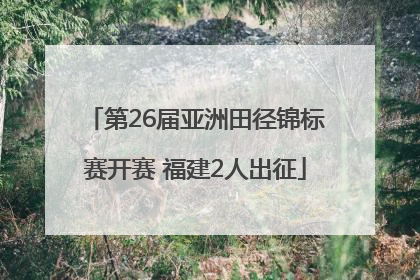 第26届亚洲田径锦标赛开赛 福建2人出征