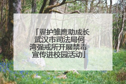 翼护雏鹰助成长 武汉市司法局何湾强戒所开展禁毒宣传进校园活动