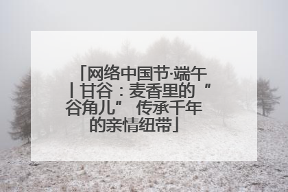网络中国节·端午丨甘谷：麦香里的“谷角儿” 传承千年的亲情纽带