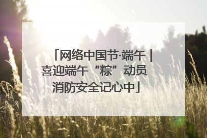 网络中国节·端午｜喜迎端午“粽”动员 消防安全记心中
