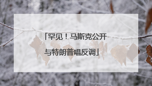 罕见！马斯克公开与特朗普唱反调