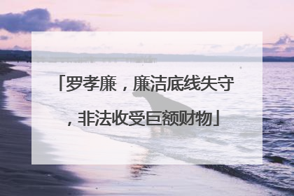 罗孝廉，廉洁底线失守，非法收受巨额财物